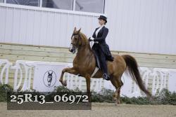 25R13_06972 thumbnail