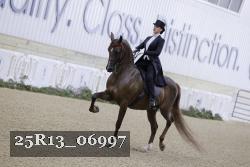 25R13_06997 thumbnail