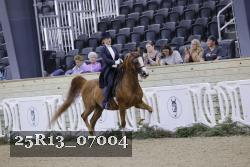 25R13_07004 thumbnail