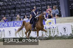 25R13_07006 thumbnail