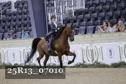 25R13_07010 thumbnail