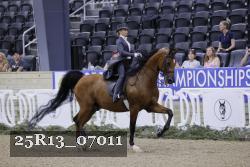 25R13_07011 thumbnail