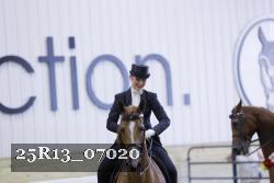 25R13_07020 thumbnail