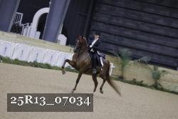 25R13_07034 thumbnail