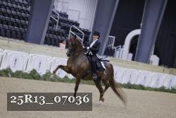 25R13_07036 thumbnail