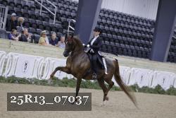 25R13_07037 thumbnail