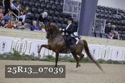 25R13_07039 thumbnail