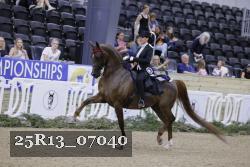 25R13_07040 thumbnail