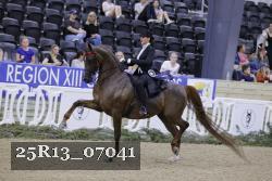 25R13_07041 thumbnail