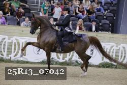 25R13_07042 thumbnail
