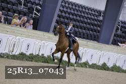 25R13_07043 thumbnail