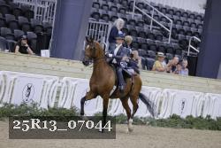 25R13_07044 thumbnail