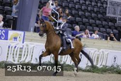 25R13_07045 thumbnail