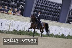 25R13_07053 thumbnail