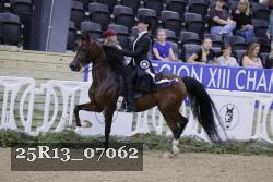 25R13_07062 thumbnail