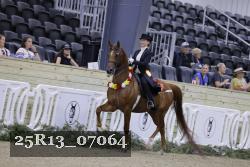 25R13_07064 thumbnail