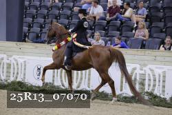 25R13_07070 thumbnail