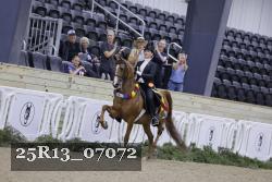 25R13_07072 thumbnail