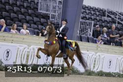 25R13_07073 thumbnail