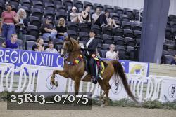 25R13_07075 thumbnail