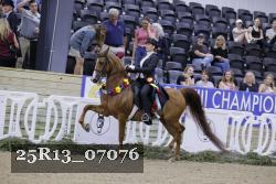 25R13_07076 thumbnail