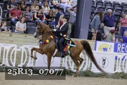 25R13_07077 thumbnail
