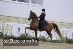 25R13_07082 thumbnail