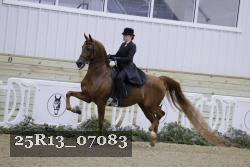 25R13_07083 thumbnail