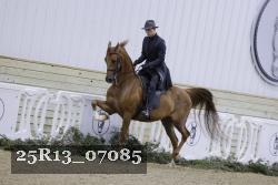 25R13_07085 thumbnail