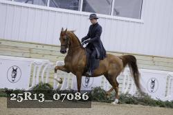 25R13_07086 thumbnail