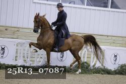 25R13_07087 thumbnail