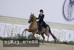 25R13_07088 thumbnail