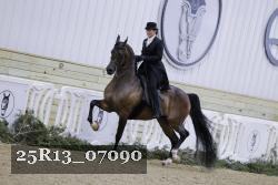 25R13_07090 thumbnail