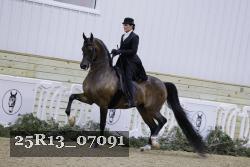 25R13_07091 thumbnail