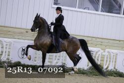 25R13_07092 thumbnail