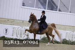 25R13_07094 thumbnail