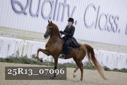 25R13_07096 thumbnail