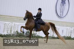 25R13_07097 thumbnail