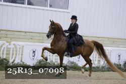 25R13_07098 thumbnail