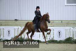 25R13_07106 thumbnail