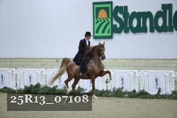 25R13_07108 thumbnail