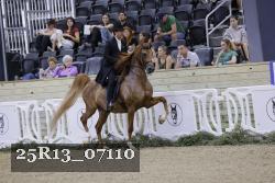 25R13_07110 thumbnail