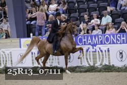 25R13_07111 thumbnail