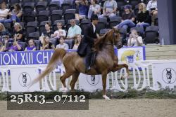 25R13_07112 thumbnail