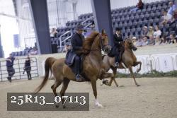 25R13_07113 thumbnail