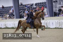 25R13_07114 thumbnail