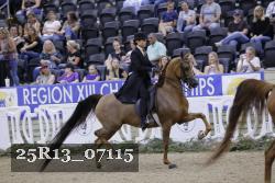 25R13_07115 thumbnail