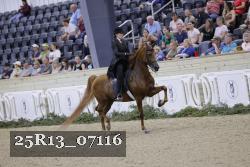 25R13_07116 thumbnail