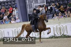 25R13_07117 thumbnail