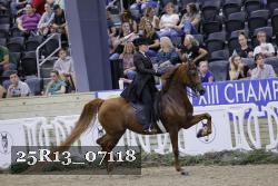 25R13_07118 thumbnail